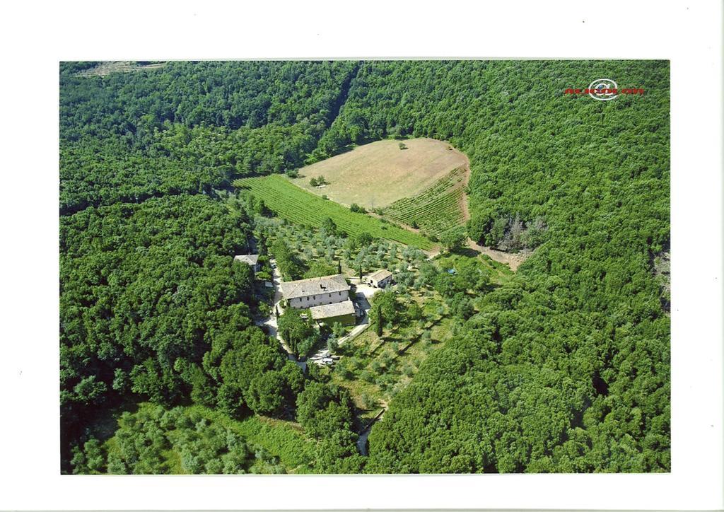 Agriturismo Biologico Ebbio Villa Monteriggioni Bagian luar foto
