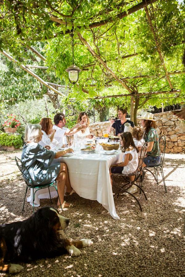 Agriturismo Biologico Ebbio Villa Monteriggioni Bagian luar foto